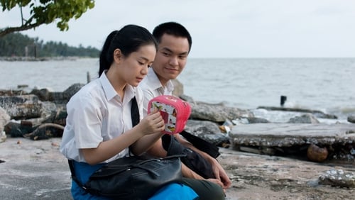 Liu lian wang fan (2014)