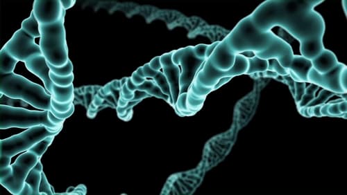 Microbirth (2014)