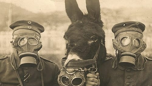 Animali nella Grande Guerra (2015)