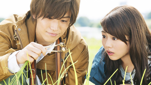 Botanical Books (2016)