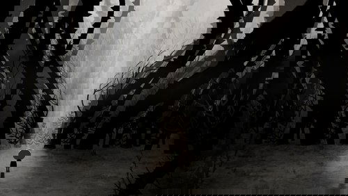 Birdboy: The Forgotten Children (2015)