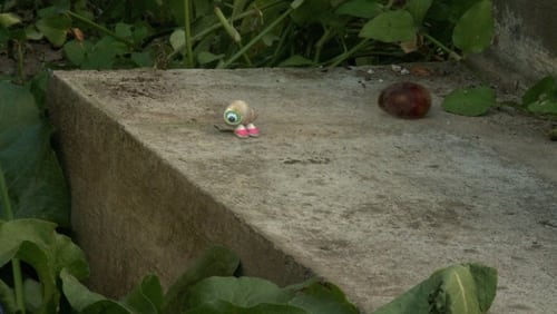 Marcel the Shell with Shoes On, Three (Short 2014)