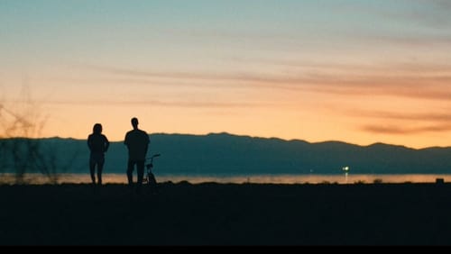 Don't Come Back from the Moon (2017)