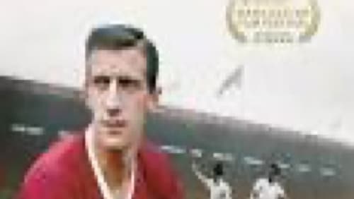 Dennis Viollet: A United Man (2016)