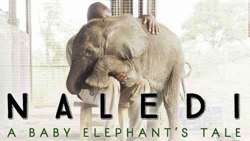 Naledi – Ein Elefantenleben (2016)