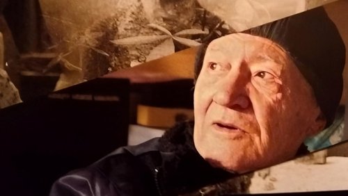 În cãutarea tatãlui pierdut (2016)