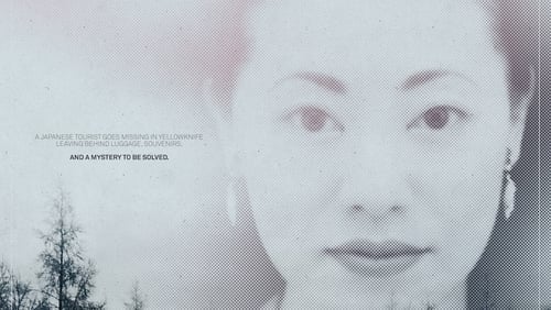 The Missing Tourist (2017)