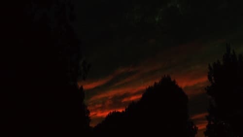 Hinterlands (Short 2016)