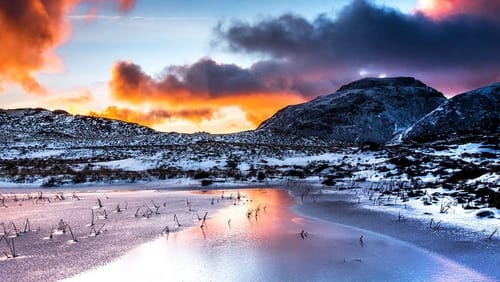 The Lake District: A Wild Year (TV Movie 2017)