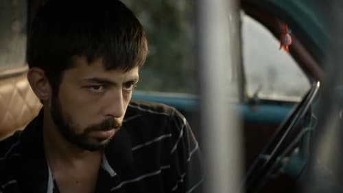 Sari Sicak (2017)