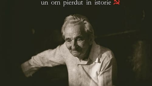Licu: A Romanian Story (2017)