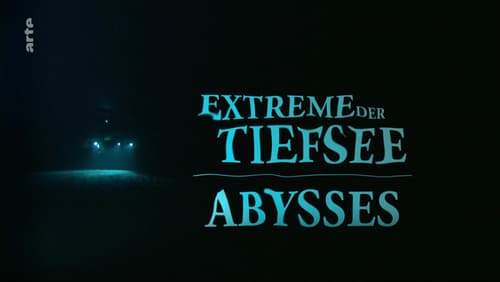 Deep Ocean: Lights in the Abyss (TV Movie 2016)
