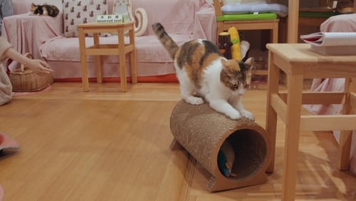 Kittenhood (TV Movie 2015)