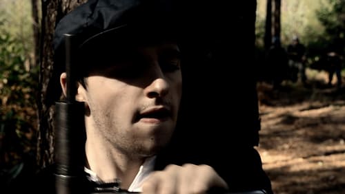 WWII : The Long Road Home (2017)