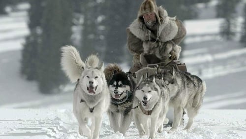 The Great Alaskan Race – Helden auf vier Pfoten (2019)