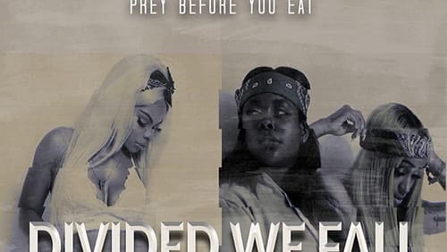 Divided We Fall (2021)