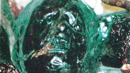Edmund Kemper Part 1: The Death of my Life (2001)