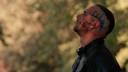Sans peur (2022)