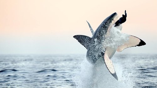 Air Jaws: Back from the Dead (2018)