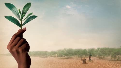 The Great Green Wall (2019)