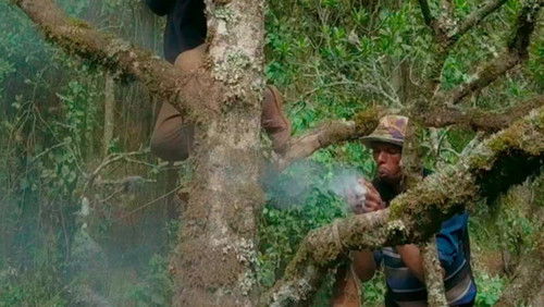 The Harvesters (2018)