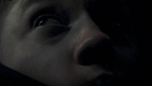 Lie Low (2019)