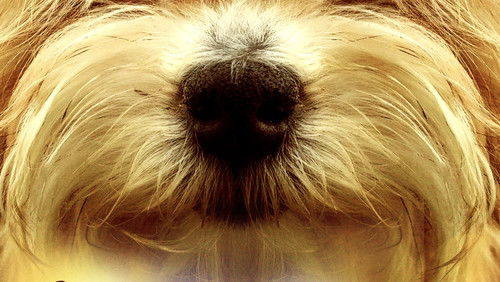 Kindness Matters (2018)