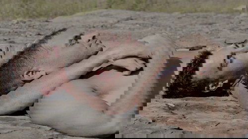 Love in Country (2023)