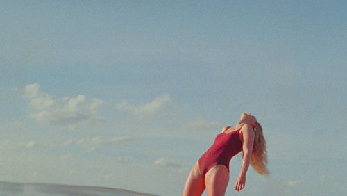 The Chronology of Water (2025)