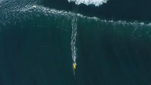 The Big Wave Project (2017)