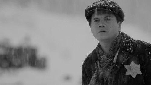 Bau: Artist at War (2024)