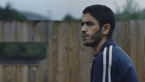 Oreina (2018)