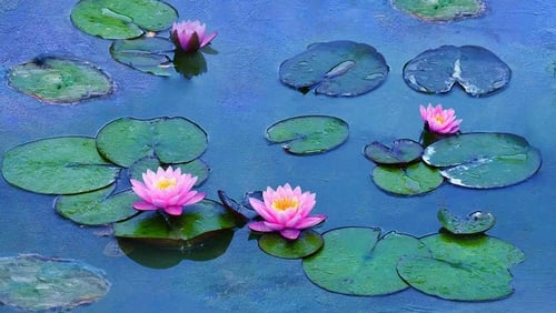 Le ninfee di Monet – Un incantesimo di acqua e luce (2018)