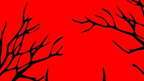The Ungulate (2019)