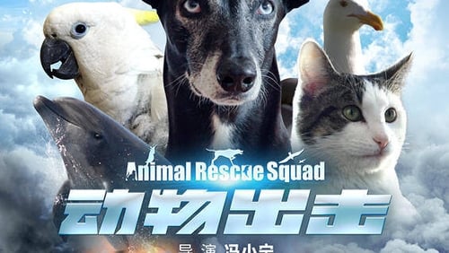 Dong wu chu ji (2019)