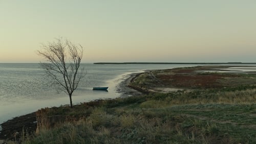 Evge (2019)