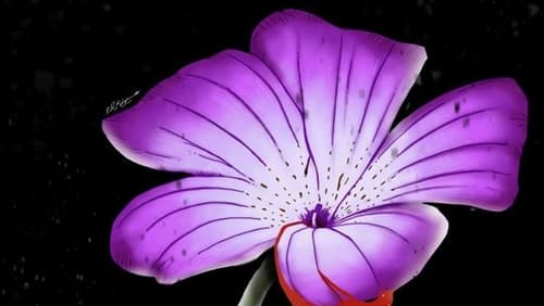 Violet (2020)