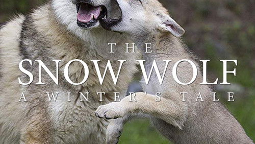 The Snow Wolf: A Winter’s Tale (2018)