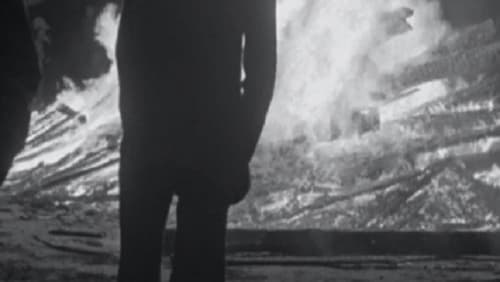 Jaanipäev (Short 1979)