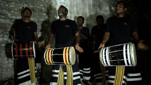 Last Glimpse (2015–)