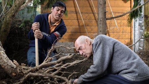 Nobadi (2019)