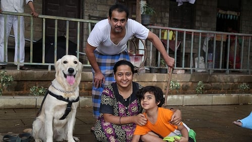 15 August (2019)